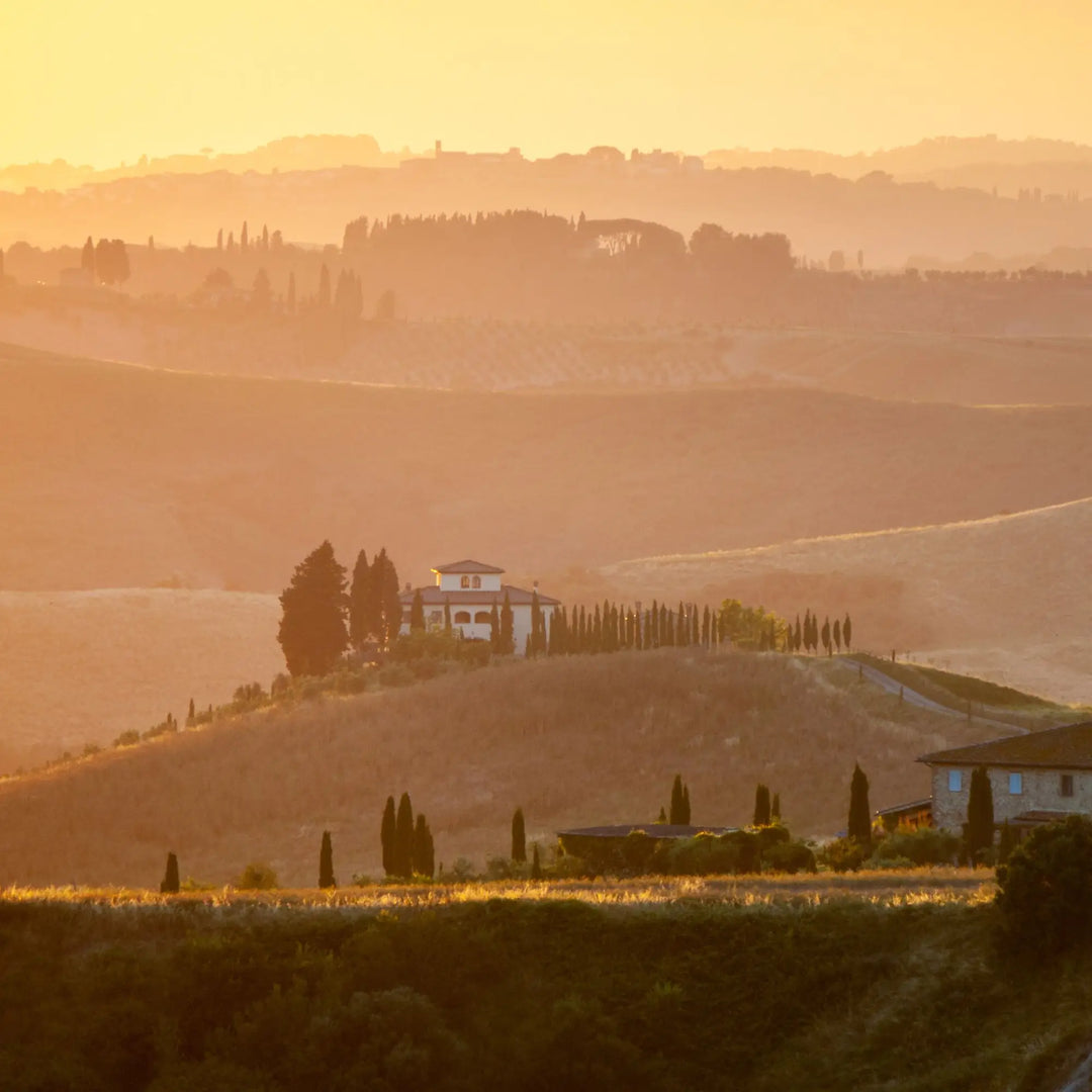 Foto panoramica di colline toscane al tramonto con vista su due casali rustici con nebbia e cipressi